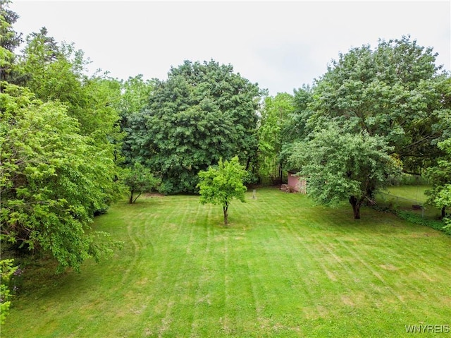 4535 Ransom Rd, Clarence, NY 14031 - view of yard