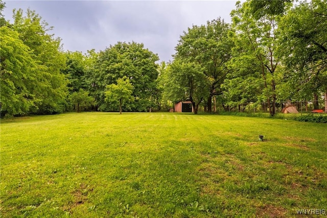 4535 Ransom Rd, Clarence, NY 14031 - view of green lawn with an outdoor structure