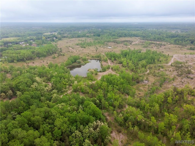 4535 Ransom Rd, Clarence, NY 14031 - drone / aerial view of a forest and a nearby body of water