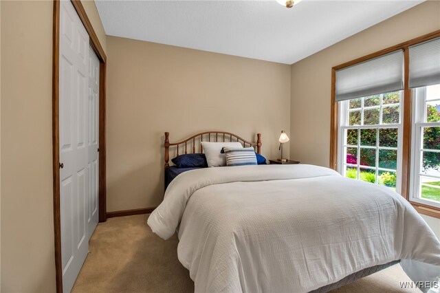139 Autumn Creek Ct, Amherst, NY 14051 - bedroom with multiple windows, carpet flooring, and a closet