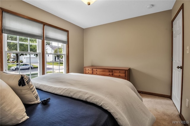 139 Autumn Creek Ct, Amherst, NY 14051 - bedroom with light colored carpet and baseboards