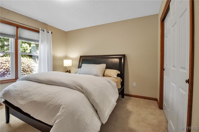 139 Autumn Creek Ct, Amherst, NY 14051 - bedroom with a closet and light colored carpet