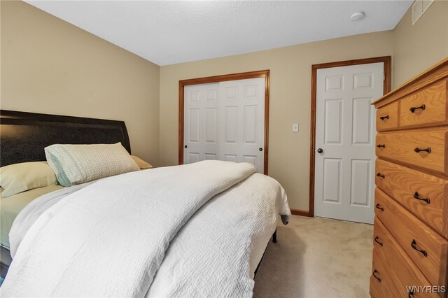 139 Autumn Creek Ct, Amherst, NY 14051 - bedroom with light colored carpet and a closet