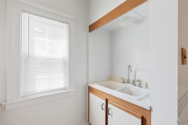 344 S Collingwood Ave, Syracuse, NY 13206 - bathroom featuring healthy amount of natural light and vanity
