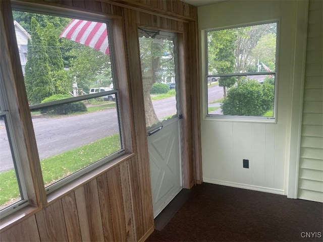 205 Morton St, Syracuse, NY 13204 - entryway featuring wood walls, healthy amount of natural light, and dark colored carpet