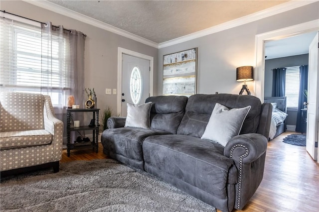 94 Birchwood Dr, Irondequoit, NY 14622 - living room with wood finished floors, crown molding, and a textured ceiling
