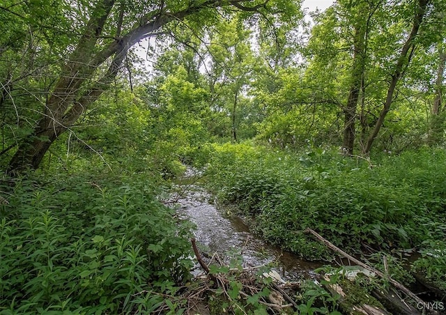 3959 Number Nine Rd, Cazenovia, NY 13035 - view of tree filled area