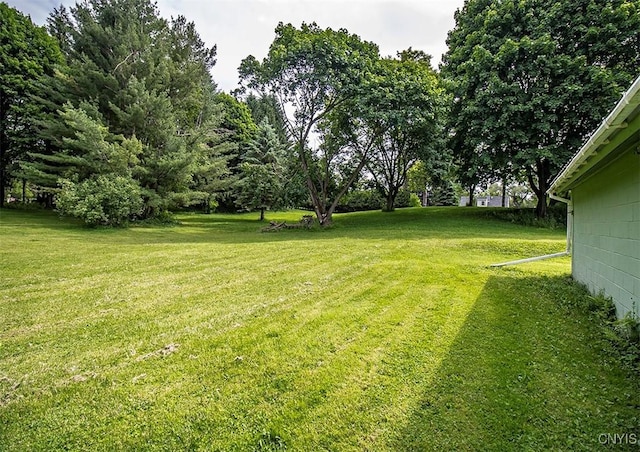 3959 Number Nine Rd, Cazenovia, NY 13035 - view of green lawn