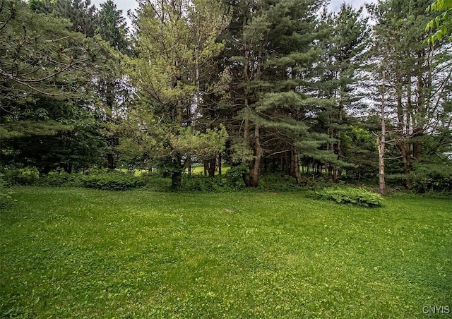 3959 Number Nine Rd, Cazenovia, NY 13035 - view of grassy yard with a forest view