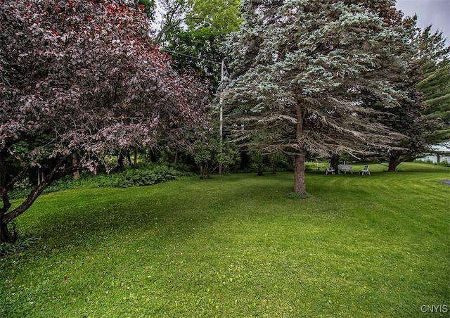 3959 Number Nine Rd, Cazenovia, NY 13035 - view of green lawn