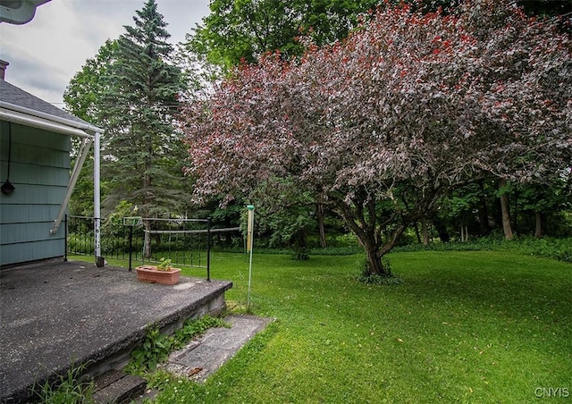 3959 Number Nine Rd, Cazenovia, NY 13035 - view of grassy yard