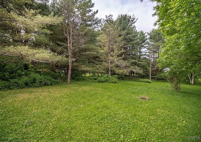 3959 Number Nine Rd, Cazenovia, NY 13035 - view of grassy yard with a view of trees
