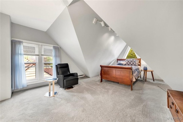 176 Mount Vernon Rd, Amherst, NY 14226 - bedroom featuring carpet, vaulted ceiling, and rail lighting