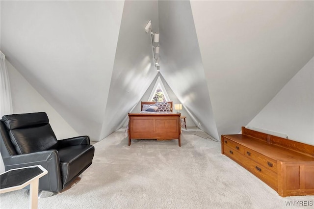 176 Mount Vernon Rd, Amherst, NY 14226 - sitting room with carpet and vaulted ceiling