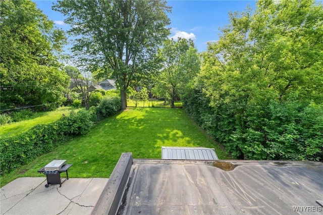 176 Mount Vernon Rd, Amherst, NY 14226 - view of yard with a patio and view of wooded area