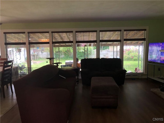 1407 N James St, Rome-Inside, NY 13440 - living room featuring healthy amount of natural light and wood finished floors