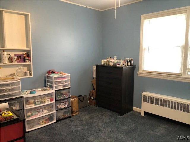 1407 N James St, Rome-Inside, NY 13440 - bedroom featuring radiator heating unit, carpet flooring, and ornamental molding