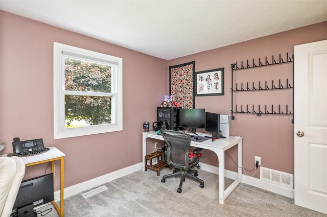 716 Flynn Rd, Greece, NY 14612 - office space with carpet flooring