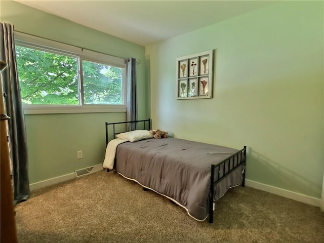 40 Ice Rose Ln, Henrietta, NY 14623 - bedroom with carpet flooring
