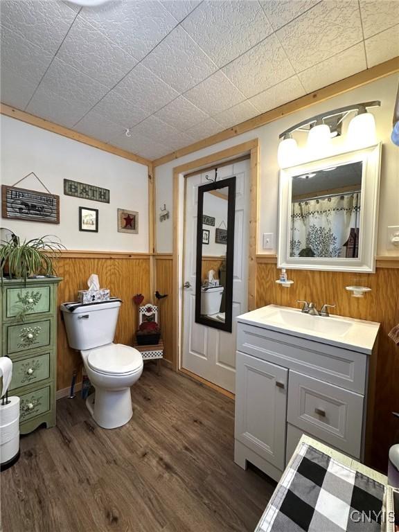 11797 State Route 70, Grove, NY 14884 - bathroom featuring wainscoting, vanity, wooden walls, and wood finished floors