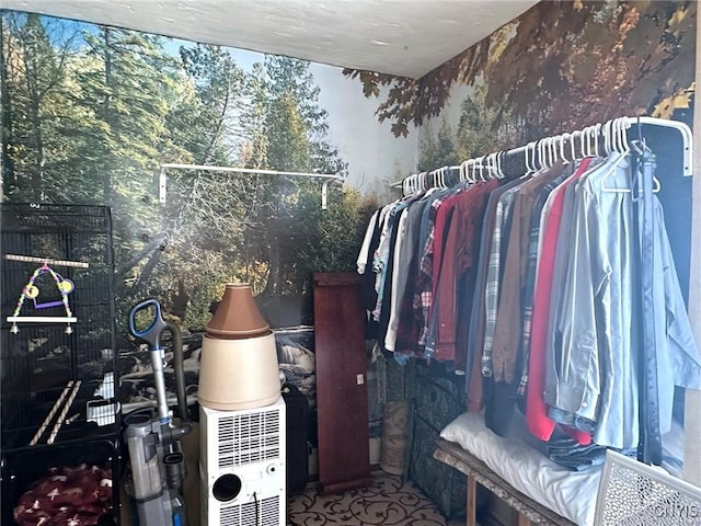 11797 State Route 70, Grove, NY 14884 - view of spacious closet