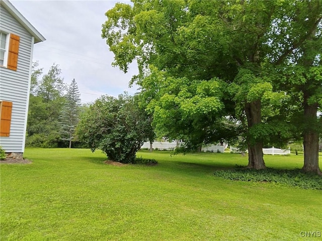 11797 State Route 70, Grove, NY 14884 - view of green lawn