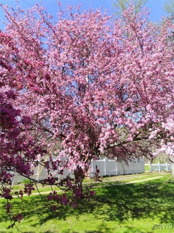 11797 State Route 70, Grove, NY 14884 - view of yard