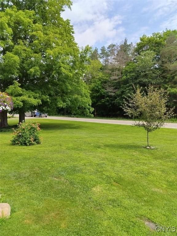 11797 State Route 70, Grove, NY 14884 - view of green lawn
