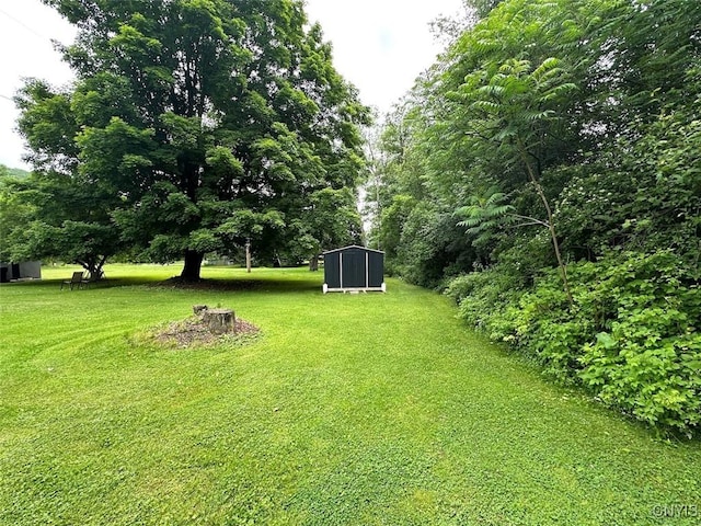 11797 State Route 70, Grove, NY 14884 - view of grassy yard featuring a shed
