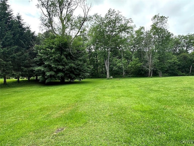 11797 State Route 70, Grove, NY 14884 - view of grassy yard
