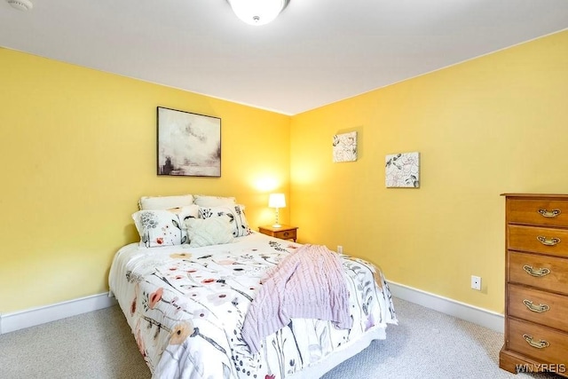 5621 Homestead Rd, Boston, NY 14075 - photo 35