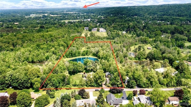 5621 Homestead Rd, Boston, NY 14075 - photo 46