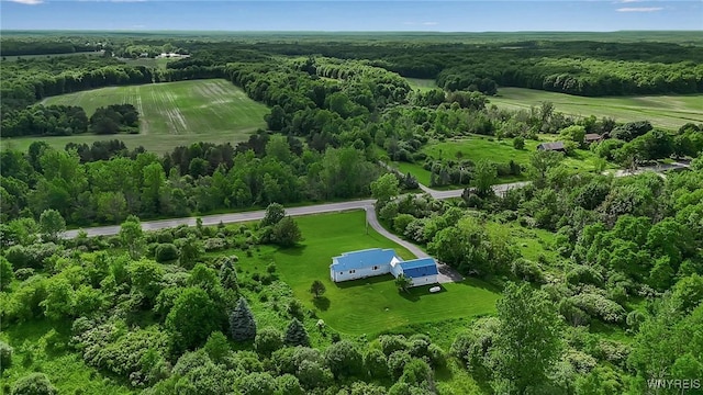 11131 Harlow Rd, Darien, NY 14004 - aerial view of sparsely populated area featuring a heavily wooded area
