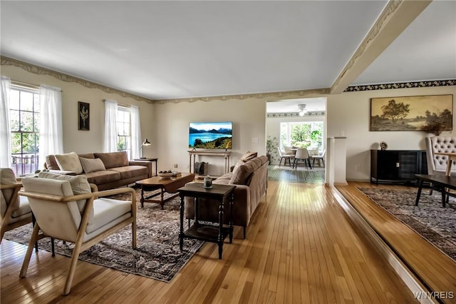 11131 Harlow Rd, Darien, NY 14004 - living area featuring plenty of natural light and hardwood / wood-style flooring