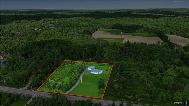 11131 Harlow Rd, Darien, NY 14004 - aerial overview of property's location with property boundaries highlighted