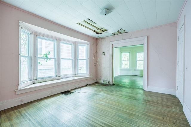 48 Rosedale St, Rochester, NY 14620 - unfurnished room with plenty of natural light and wood finished floors