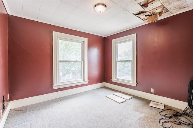 48 Rosedale St, Rochester, NY 14620 - spare room featuring carpet and ornamental molding