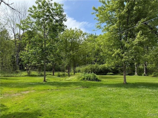 4935 N Jefferson St, Richland, NY 13142 - view of grassy yard