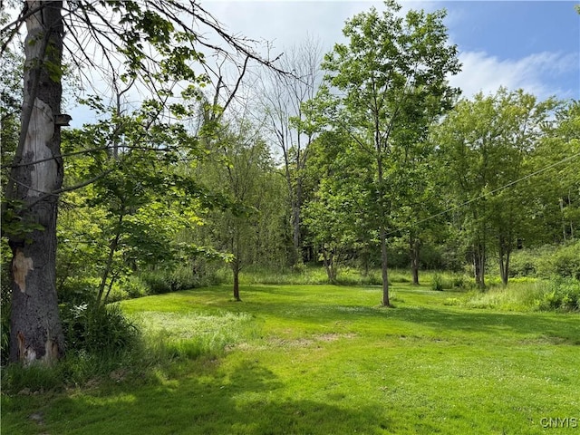 4935 N Jefferson St, Richland, NY 13142 - view of grassy yard with a wooded view
