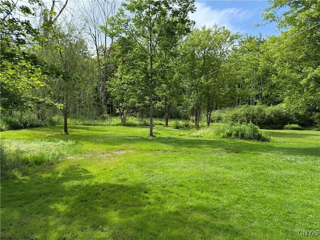 4935 N Jefferson St, Richland, NY 13142 - view of green lawn with a view of trees
