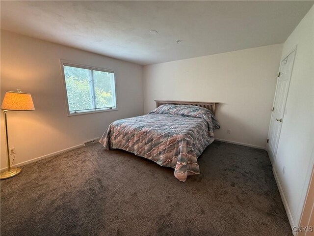 5326 Bunker Hill Way, Onondaga, NY 13207 - bedroom with carpet floors