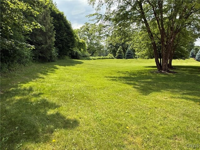 5326 Bunker Hill Way, Onondaga, NY 13207 - view of grassy yard