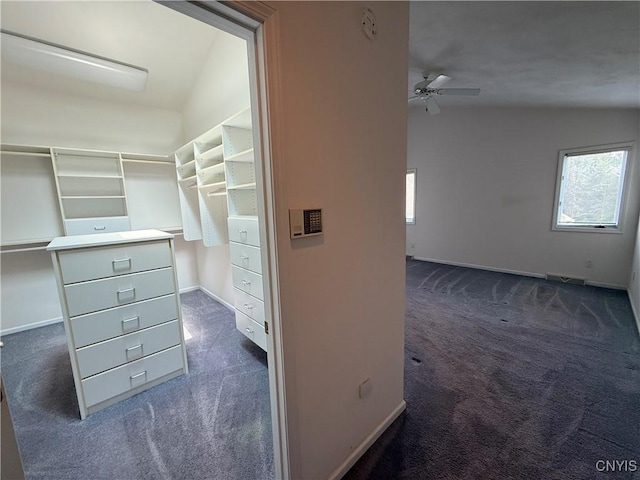 5326 Bunker Hill Way, Onondaga, NY 13207 - spacious closet with dark carpet and a ceiling fan