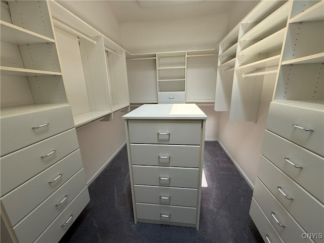 5326 Bunker Hill Way, Onondaga, NY 13207 - spacious closet with dark carpet