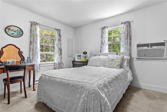 226 Academy St, Middletown, NY 12455 - carpeted bedroom with multiple windows and a wall mounted AC