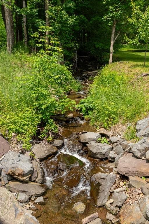 226 Academy St, Middletown, NY 12455 - view of tree filled area