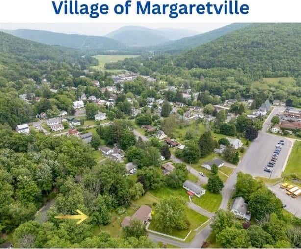 226 Academy St, Middletown, NY 12455 - drone / aerial view of a heavily wooded area and mountains