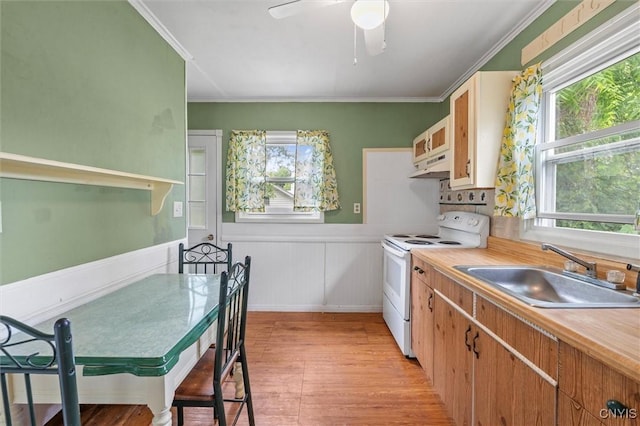 107 Edgeware Rd, Salina, NY 13208 - kitchen with white range with electric stovetop, under cabinet range hood, a wainscoted wall, healthy amount of natural light, and crown molding