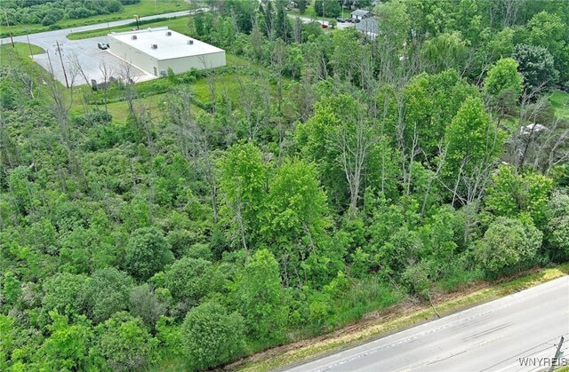 VL Genesee Street, Alden, NY 14004 - photo 3