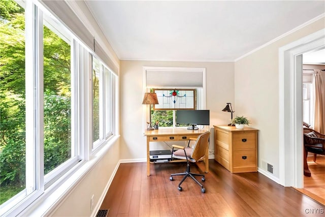 6 Orchard Rd, Skaneateles, NY 13152 - office with healthy amount of natural light, wood finished floors, and ornamental molding